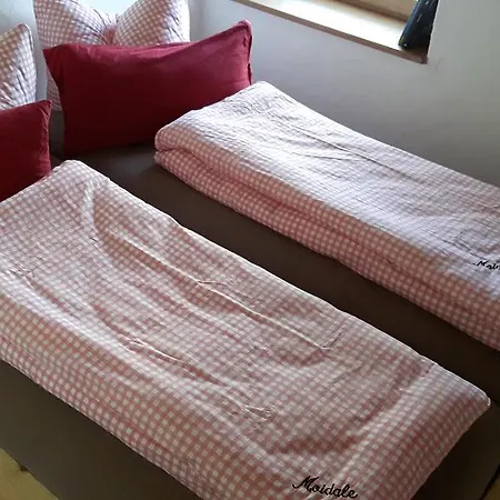 Ferienapartment Moidale 公寓 *